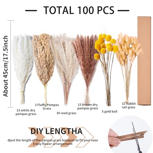 100-Piece Natural Dried Pampas Grass Bouquet - 17.5-Inch Floral Decor