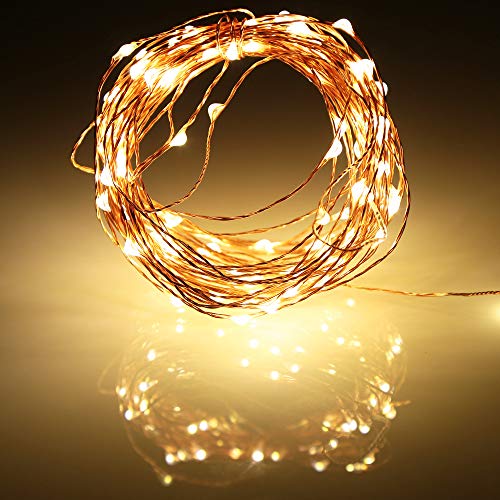 Ariceleo LED Fairy Lights Battery Operated 16ft Warm White