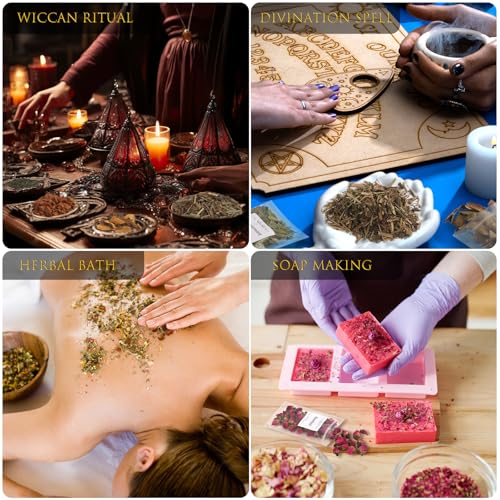 40 Pack Dried Herbs and Flowers Kit for Witchcraft and Spell Crafting