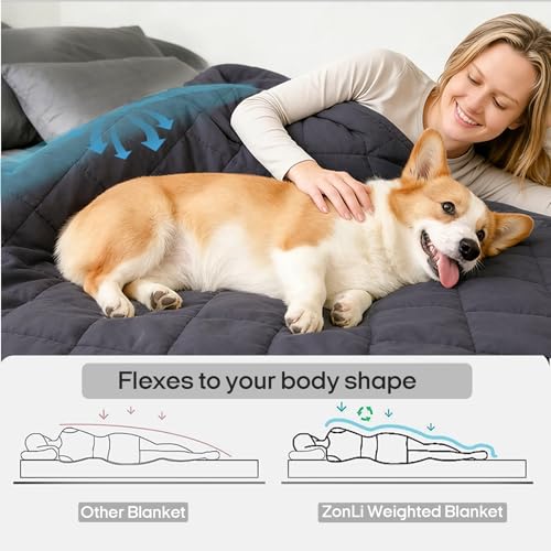 20lb Weighted Blanket for Adults - 60x80 Inch Cooling Queen Size