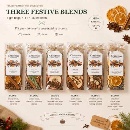 Loopeer 6 Pack Christmas Potpourri Kit with Cinnamon Sticks - Holiday Fragrance Set