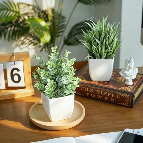 Small Artificial Potted Plants (2-Pack) - Mini Faux Desk & Room Decor
