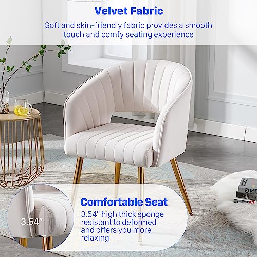 Modern Velvet Upholstered Accent Chair with Gold Legs, Cream