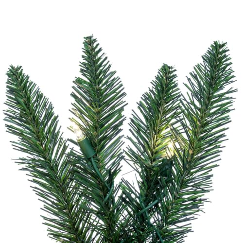 Vickerman 9 ft Camdon Fir Prelit Garland with 200 Warm White LEDs