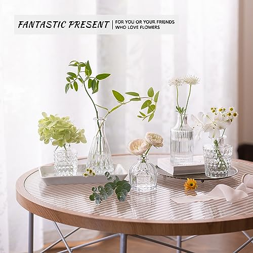 12-Piece Clear Glass Bud Vase Set - Vintage Mini Flower Vases for Centerpieces