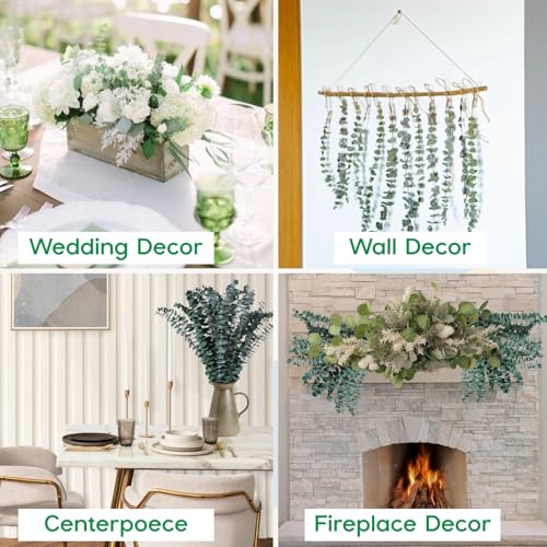 12 Pcs Preserved Eucalyptus Stems - 17-Inch Real Dried Leaves for Home Decor