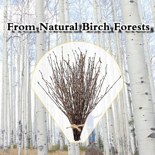 17-Inch Natural Birch Branches, Dried Twigs for Rustic Decor (30 Pack)