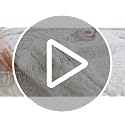 Medallion Cotton Chenille Pillow Sham, Sage - Vintage Tufted Standard Size