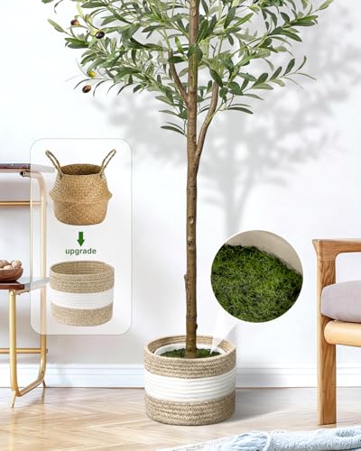 6ft Artificial Olive Tree with Planter & Woven Basket - Faux Silk Plant