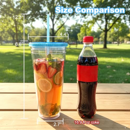 32 oz Double Wall Insulated Tumbler with Lid and Straw, 2 Pack Clear Cup