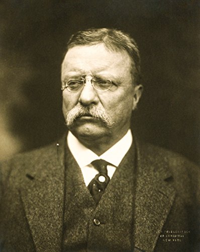 Theodore Roosevelt 1915 Portrait Photo - 8x10 Glossy Historical Print