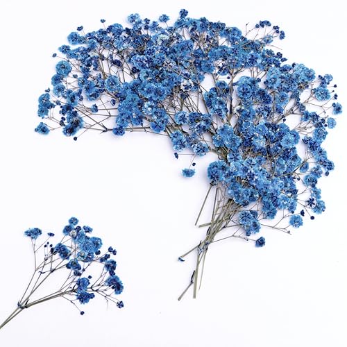 30 PCS Sapphire Blue Dried Pressed Baby's Breath Flowers with Tweezers