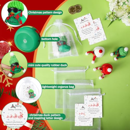 Lunmon Christmas Party Favors Set with 50 Rubber Ducks, Cards, Hats & Organza Bags - Red Green White Xmas