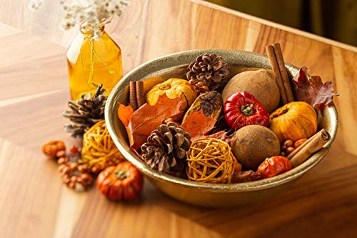 Fall Harvest Botanical Potpourri with Pumpkin Patch Fragrance, 20 oz