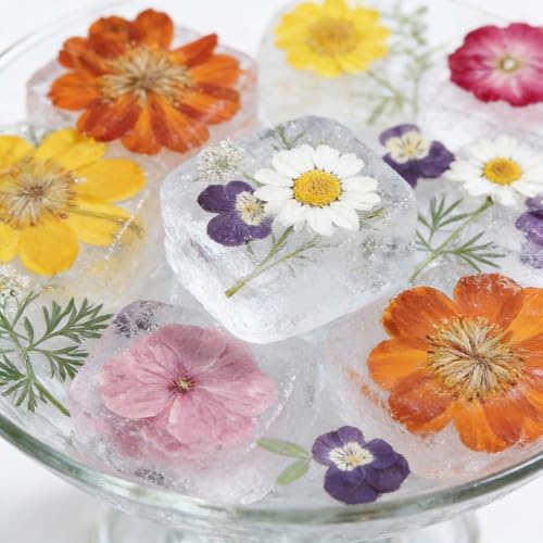 Natural Dried Pressed Flowers, 48-Piece Assorted Real Floral Set for Crafts