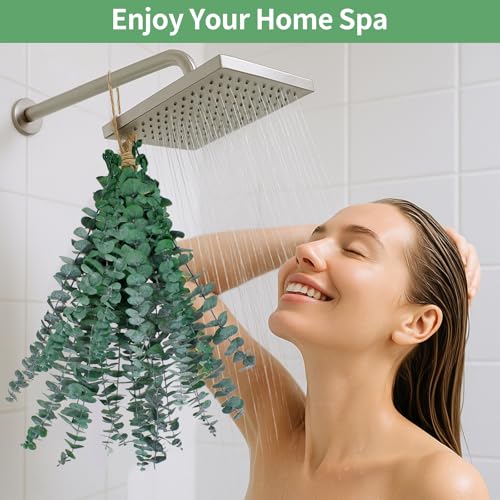 12-Piece Natural Dried Eucalyptus Stems (17 Inch) for Shower & Home Decor