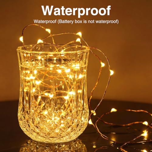 Litogo 20 Pack Fairy Lights Battery Operated with Timer, 10ft Warm White String Lights
