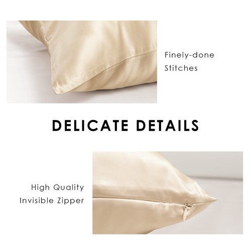 PROMEED Highest Grade 6A+ Mulberry Silk Pillowcase 25 Momme for Hair and Skin, Both Sides Premium Pure Silk, Anti-Allergy, Anti-Frizz (Queen 20"x30", Champagne)