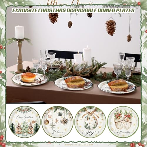 60 Pcs Christmas Disposable Paper Plates 9 Inch - Vintage Xmas Dinner Plates, 4 Styles, 60 Count, Fresh Style