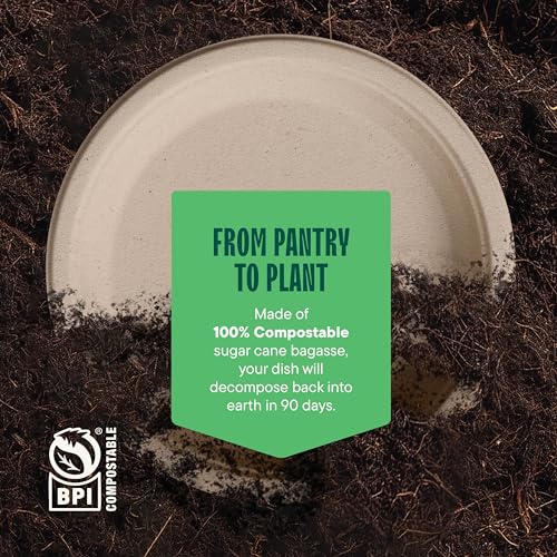 100% Compostable 9 Inch Paper Plates - Heavy Duty Sugarcane Plates (125 Pack)