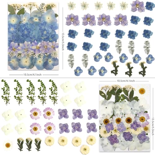 140Pcs Natural Dried Pressed Hydrangea Flowers for Resin Art & DIY Crafts