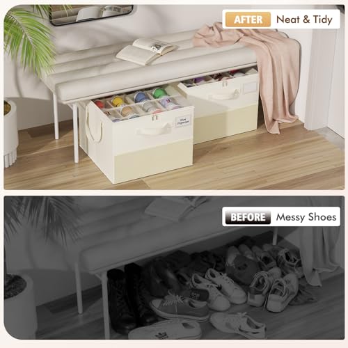 2-Pack Foldable Shoe Storage Box with Adjustable Dividers & Clear Lid