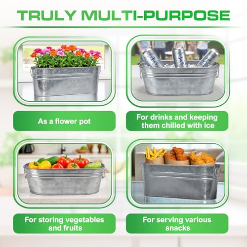 Plexon Small Galvanized Tub with Handles - 12 Inch Oval Planter (Variation 6)