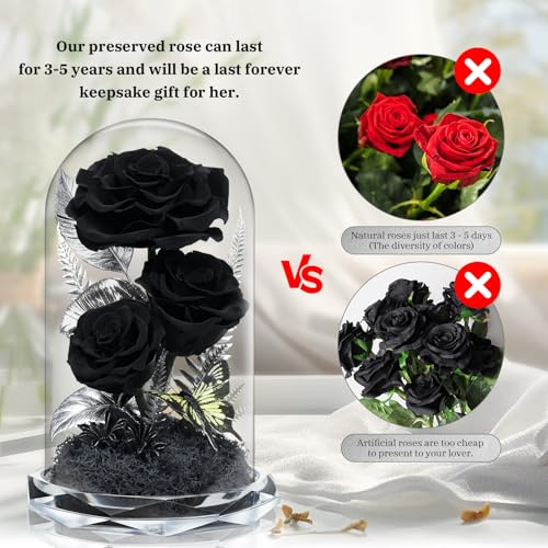 Preserved Black Roses in Glass Dome - Eternal Real Flowers for Home Decor