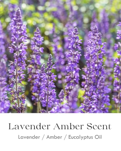 AOOVOO Lavender Amber Scented Candles 12oz - 2 Pack Relaxation & Sleep