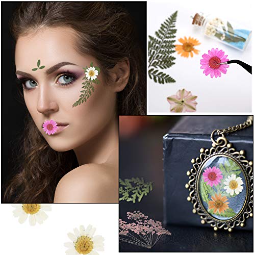 Natural Dried Pressed Flowers Set with Tweezers for Epoxy Resin Crafts (68 Pcs)