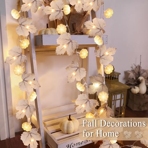 LED Fall Garland with 3D Pumpkin Lights - 2 Pack 20FT Thanksgiving Decor