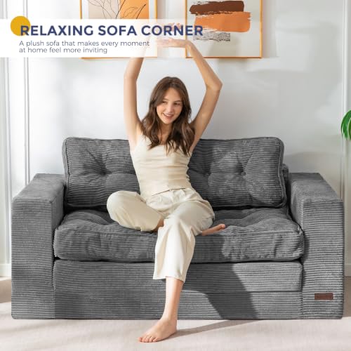 Convertible Folding Sofa Bed with Pillows, 2-Person Sleeper Loveseat
