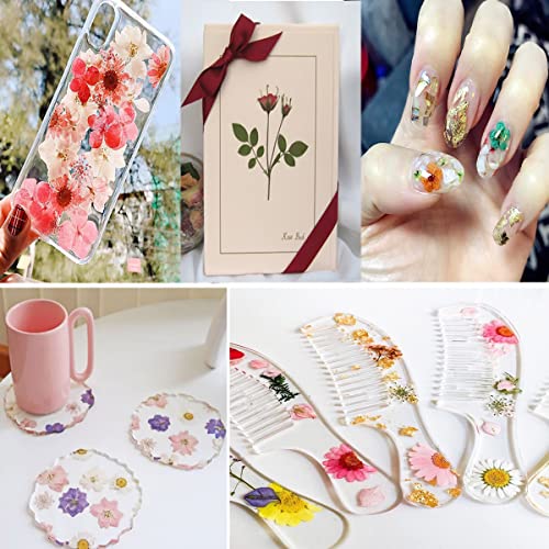 37 Pcs Natural Red Dried Pressed Flowers for Resin Molds & DIY Crafts