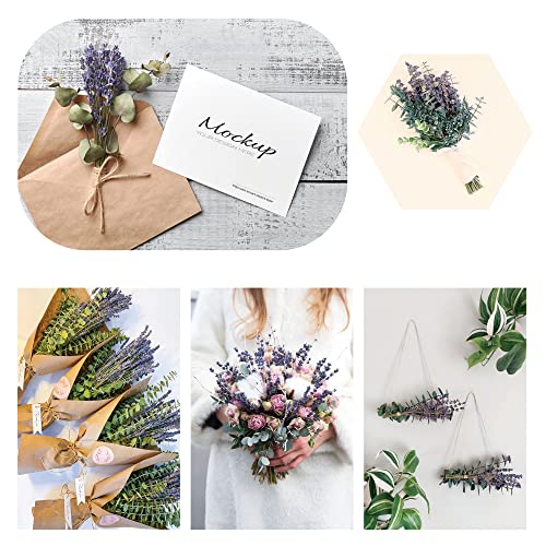 Dried Eucalyptus Stems and Lavender Flowers for Shower and Home Decor