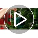 LIANGMIDA Gray Blue Velvet Christmas Decorations Set | 51 Pcs Holiday Ornaments & Bows