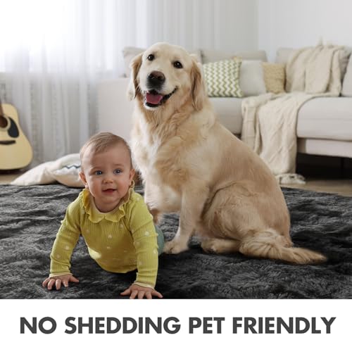 6x9 Ft Shag Area Rug, Ultra Soft Fluffy Tie-Dyed Carpet for Living Room
