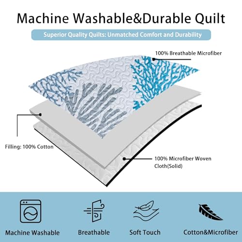 3-Piece Coastal Quilt Set Full/Queen - Soft Beach Nautical Bedspread