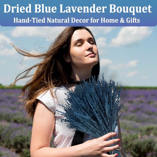 Dried Lavender Flower Bundles, 17-Inch Preserved Blue Lavender Stems