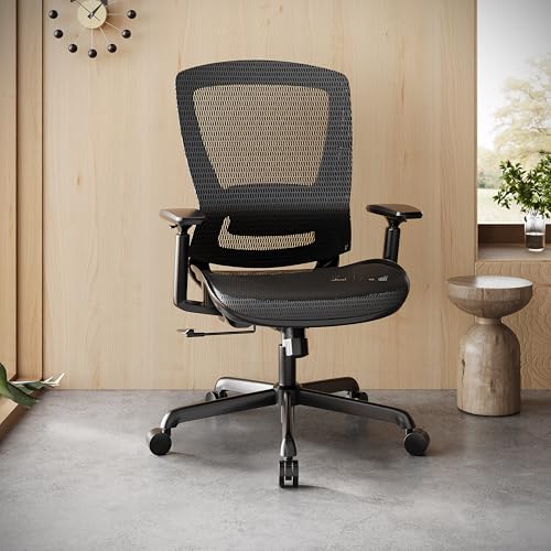 Ergonomic Mesh Office Chair with Adjustable Lumbar Support and 3D Armrests