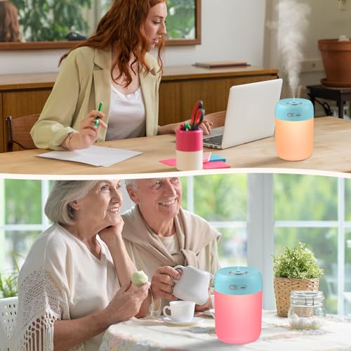Portable Small Humidifier 650ml with LED Lights for Plants and Desk