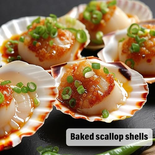 Natural Large Scallop Shells for Crafts & Decor - 10 Pack, 4-4.5 Inch