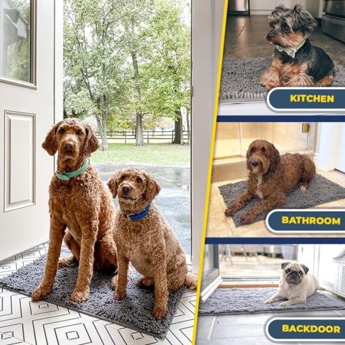 Super Absorbent Microfiber Door Mat - Quick Dry Chenille Entryway Rug, 24x36