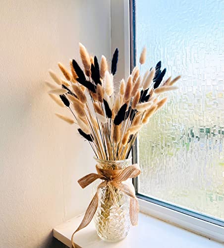 100 Stems Dried Bunny Tails Grass - Natural Black White & Brown Boho Decor