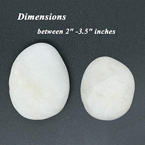 20 Natural White Rocks for Painting - 2"-3.5" Smooth Flat Craft Stones