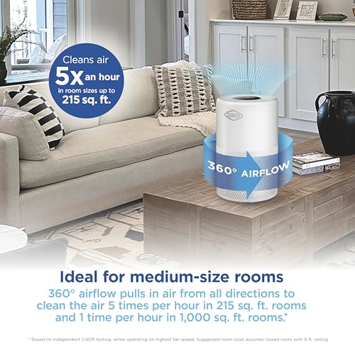Medium Room Turbo Air Purifier with True HEPA Filter for Home