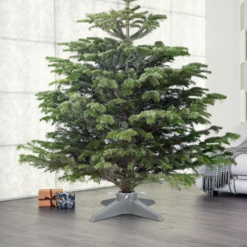 Sturdy Christmas Tree Stand for Live Trees Up to 8ft - Tool-Free Base