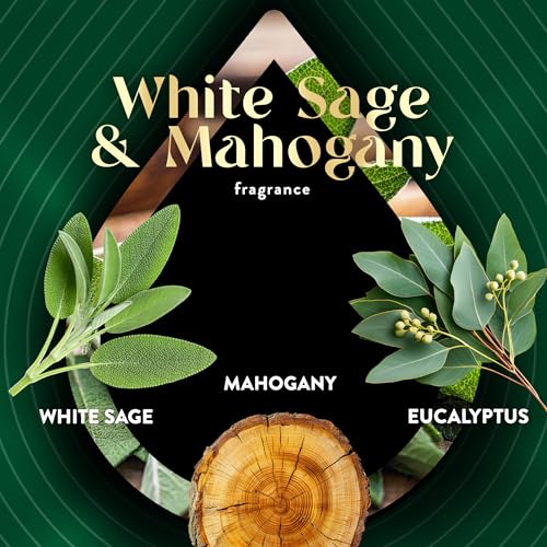 Plug-In Scented Oil Air Freshener Refills - White Sage & Mahogany (4 Pack)