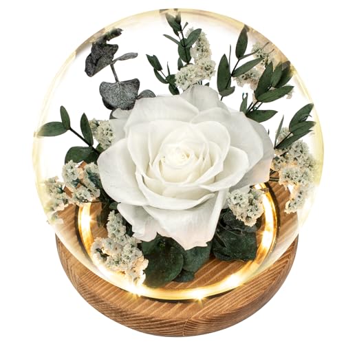Preserved White Rose in Glass Dome with LED Lights - Romantic Gift for Her