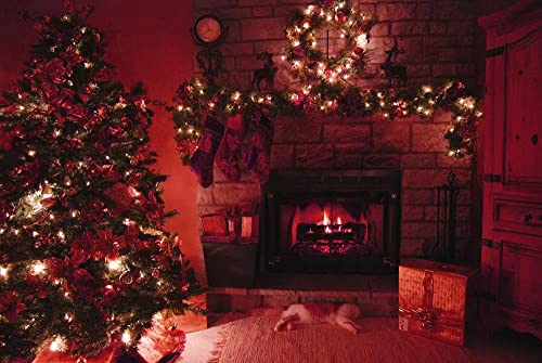 Red LED Copper Wire String Lights 33ft with Remote - Holiday & Party Decor