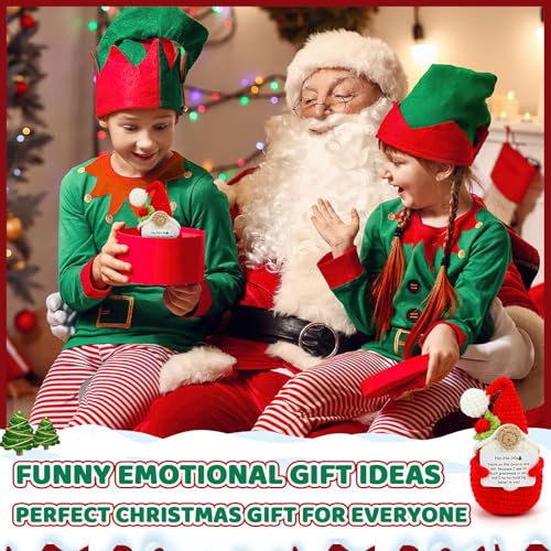 Holly the Xmas Gnome Christmas Crochet Decoration - Inspirational Holiday Gift for Women